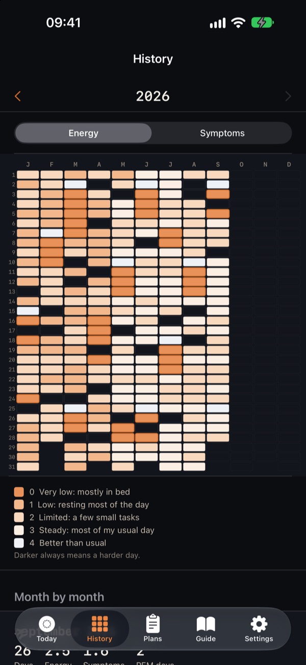 History: a year in pixels, with a square for every day